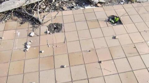 May Long Weekend Visit - Wet-And-Wild-Waterpark68.jpg