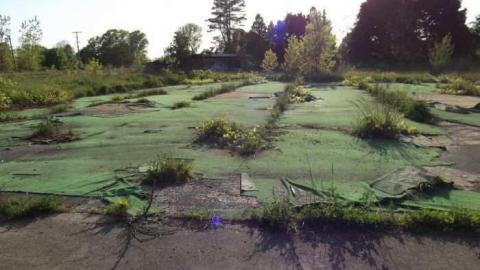 May Long Weekend Visit - Wet-And-Wild-Waterpark69.jpg