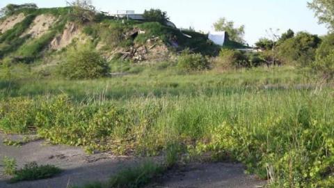 May Long Weekend Visit - Wet-And-Wild-Waterpark80.jpg