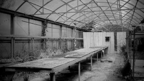 Steaksauce Photography - European-Wicker-Imports16.jpg