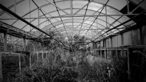 Steaksauce Photography - European-Wicker-Imports21.jpg