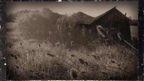 Burger and Fox Remains - Burger-and-Fox-Rd-Farm-Remains4.jpg