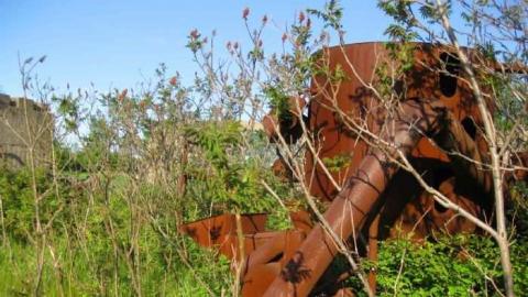 Burger and Fox Remains - Burger-and-Fox-Rd-Farm-Remains11.jpg