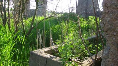 Burger and Fox Remains - Burger-and-Fox-Rd-Farm-Remains12.jpg