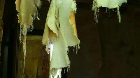 May 2012 - Farmhouse-NE-of-Fergus27.jpg