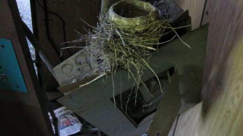 Sunset Drive Train - Train-on-Decommissioned-Track8.jpg