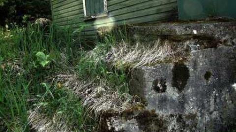 Kids in the Hall - Allensville-Community-Center4.jpg