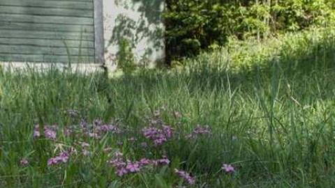 Allensville Community Center photo 2