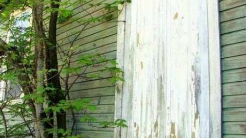 Kids in the Hall - Allensville-Community-Center9.jpg