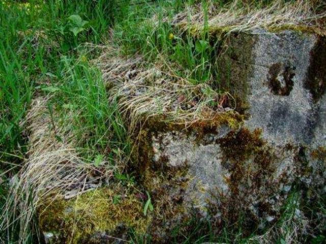 Allensville Community Center photo 5