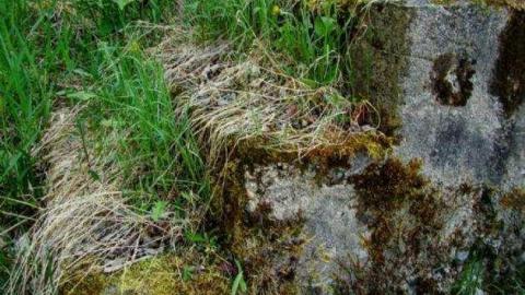 Allensville Community Center photo 5