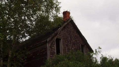 Hwy 17 House - 2010 - Iron-Bridge-House-173.jpg