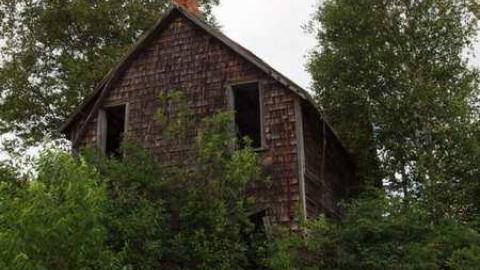 Hwy 17 House - 2010 - Iron-Bridge-House-181.jpg