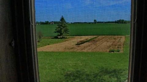 Dueling Sunrooms photo 4