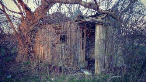 White House - W.C.-House5.jpg