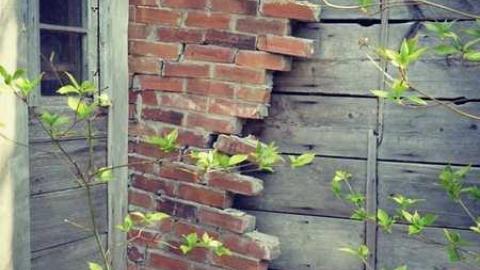 Mulmur House - Brick-house-on-Mulmur-Line-435.jpg