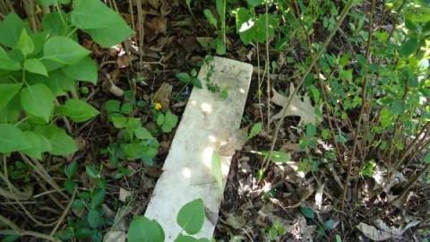 Munn's Pioneer Cemetery - Munns-Cemetery1.jpg