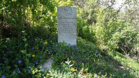 Munn's Pioneer Cemetery - Munns-Cemetery40.jpg