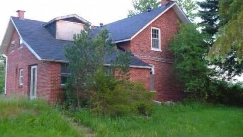 Red On - Red-Brick-Beauty-on-102.jpg