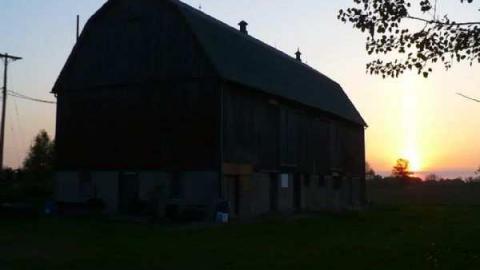 Red On - Red-Brick-Beauty-on-1010.jpg