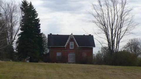 Red On - Red-Brick-Beauty-on-1013.jpg