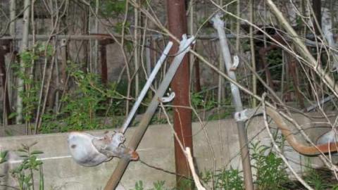 Then and Now - Granite Castle - IMG_4042.jpg