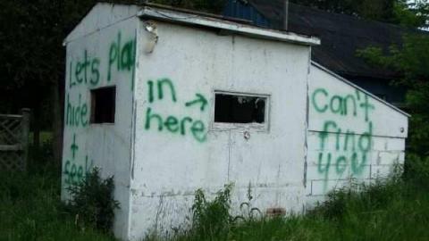 Blue in a Field of Green - The-Blues-House-Baby8.jpg