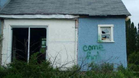 Blue in a Field of Green - The-Blues-House-Baby14.jpg