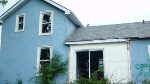 Blue in a Field of Green - The-Blues-House-Baby9.jpg