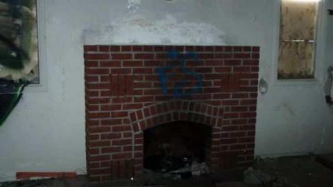 Photo from All Dug Up