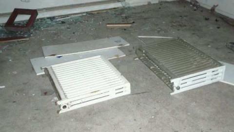 Photo from All Dug Up