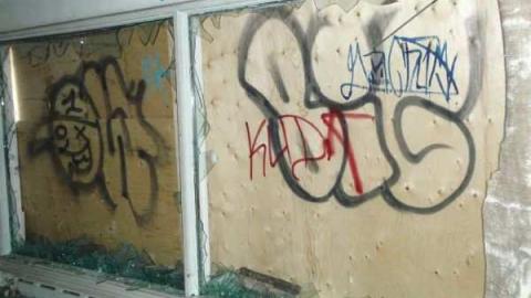 All Dug Up - Swamp-Shack4.jpg