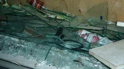 All Dug Up - Swamp-Shack9.jpg