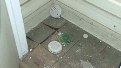 All Dug Up - Swamp-Shack22.jpg