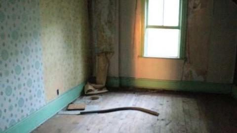 GanGREEN - Perth East, Ontario