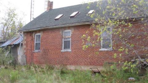 Gallery - IMG_1084.jpg