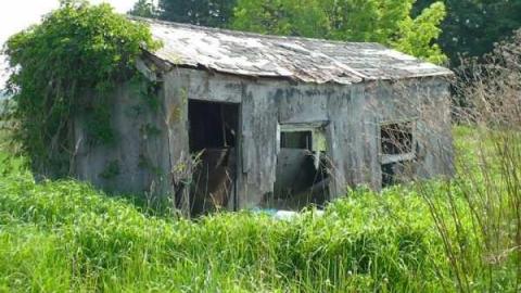 STOP! - Across-from-Long-Drive16.jpg