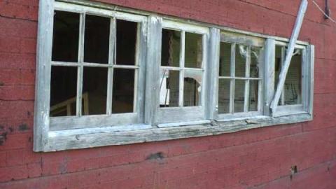 STOP! - Across-from-Long-Drive20.jpg