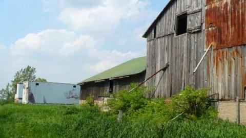 STOP! - Across-from-Long-Drive6.jpg