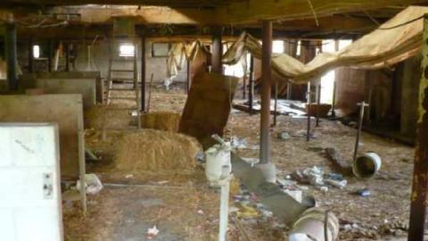 STOP! - Across-from-Long-Drive7.jpg