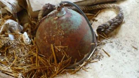 STOP! - Across-from-Long-Drive25.jpg