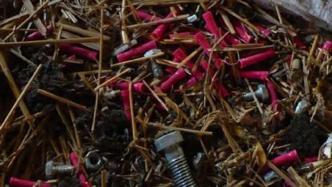 STOP! - Across-from-Long-Drive27.jpg