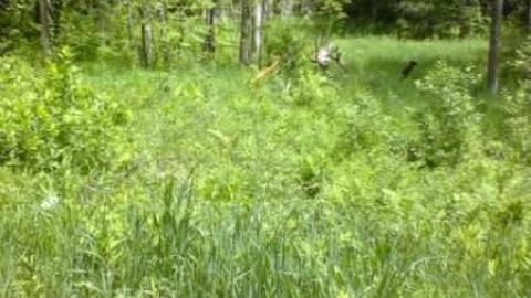 Buker's Lot and Clarke's well cover photo