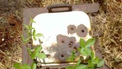 Photo from Buker's Lot and Clarke's well