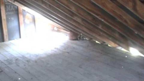 Rocky's place. - Photo0023.jpg