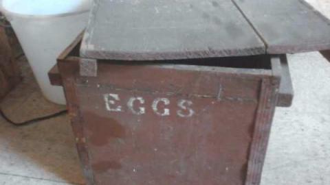 Rocky's place. - Photo0031.jpg