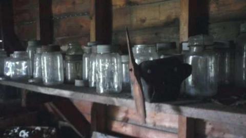 Rocky's place. - Photo0038.jpg