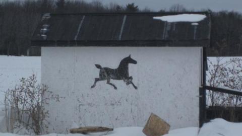 Gallery - Trashed-(near-Holly)46.jpg