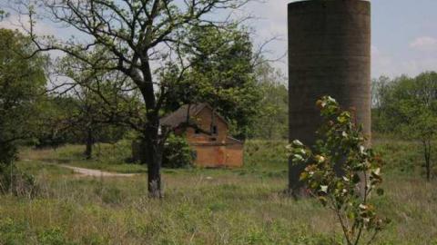 May 24/12, Rebecca Rd - Rebecca-Road147.jpg