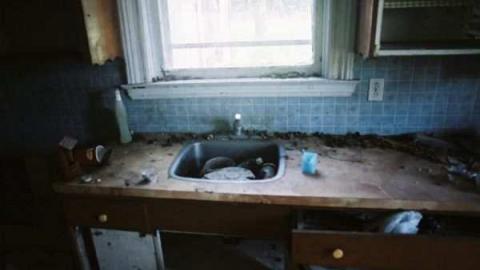 Photo from May 21, 2012